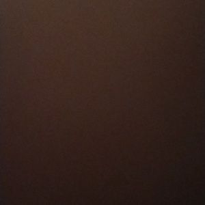 Meet your Posher, Afreenbanu